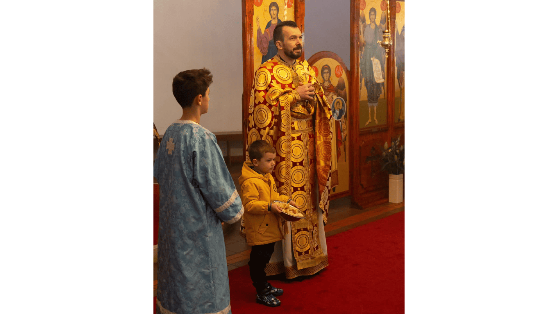 Врбица у Даблину